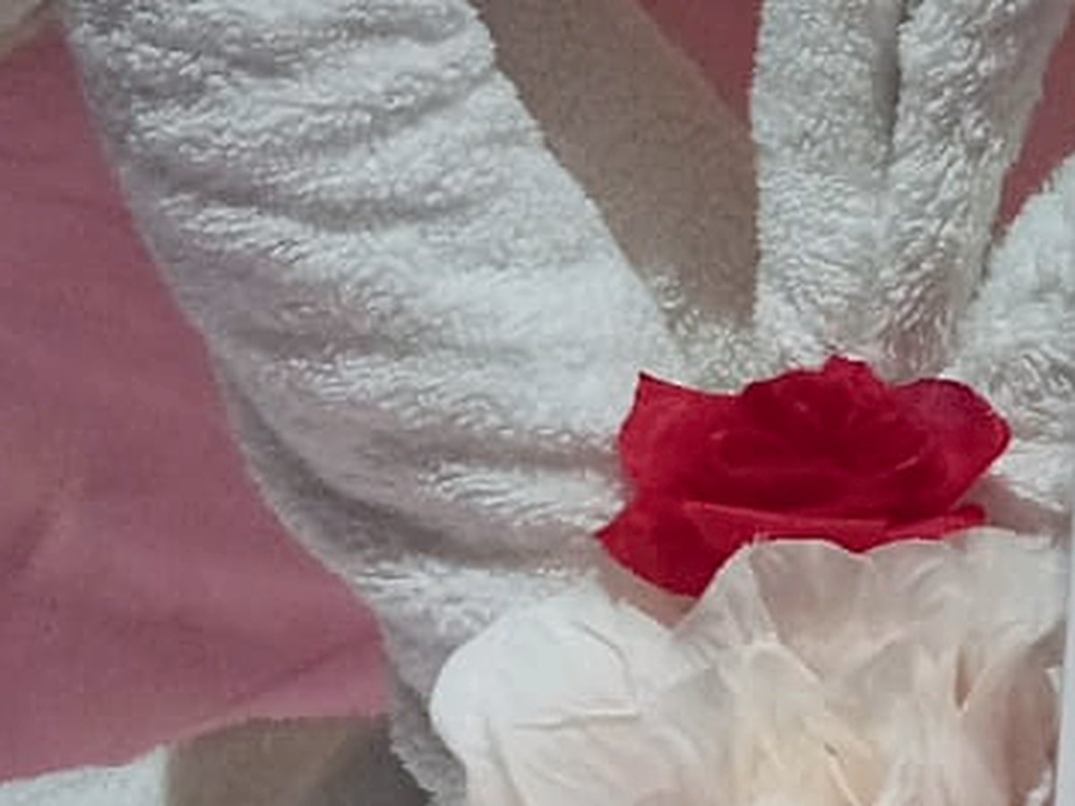 A room set before opening Folded towel swans with a red rose on a treatment bed at QIFLOW Foot Spa in Abu Hail